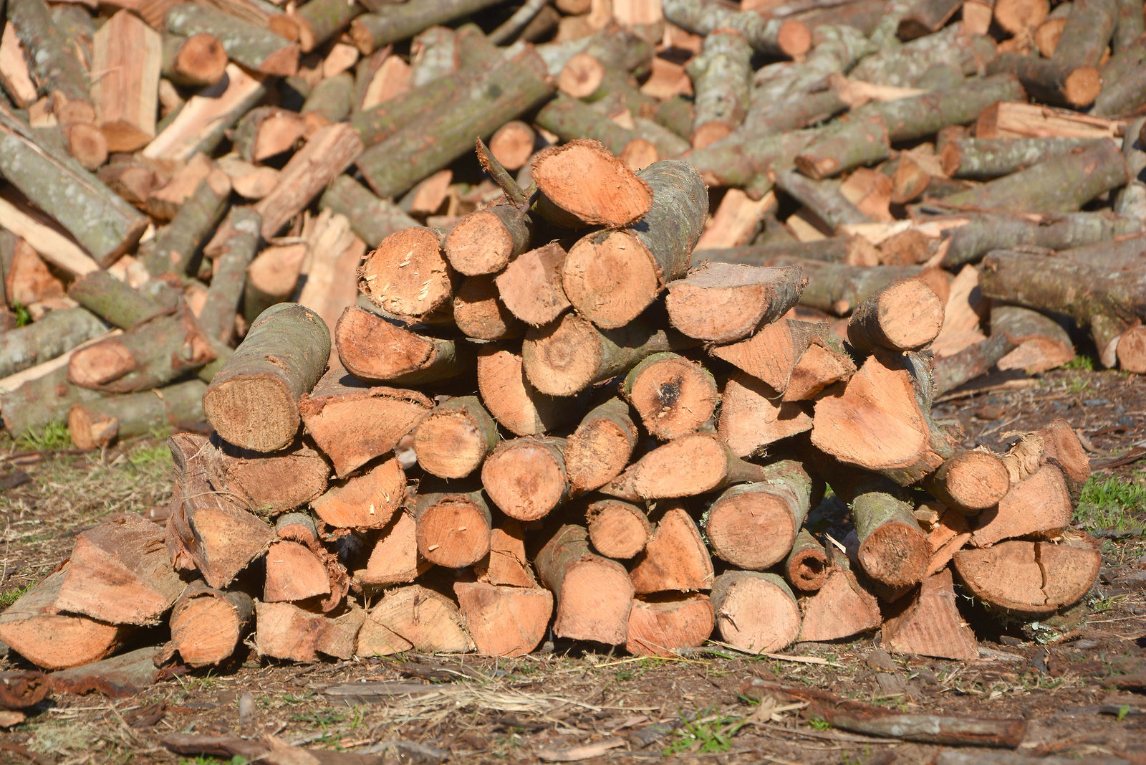 Braai Wood from Charley's Wood