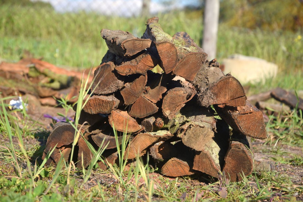 Black Wattle Braai Wood from Charley's Wood
