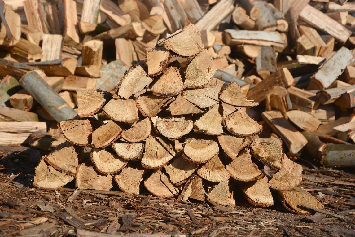 Blue Gum Wood Pieces from Charley's Wood