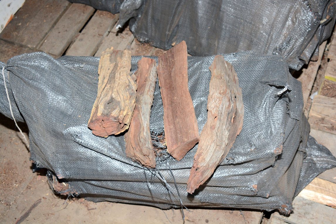 Dense Namibian kameeldoring hardwood logs