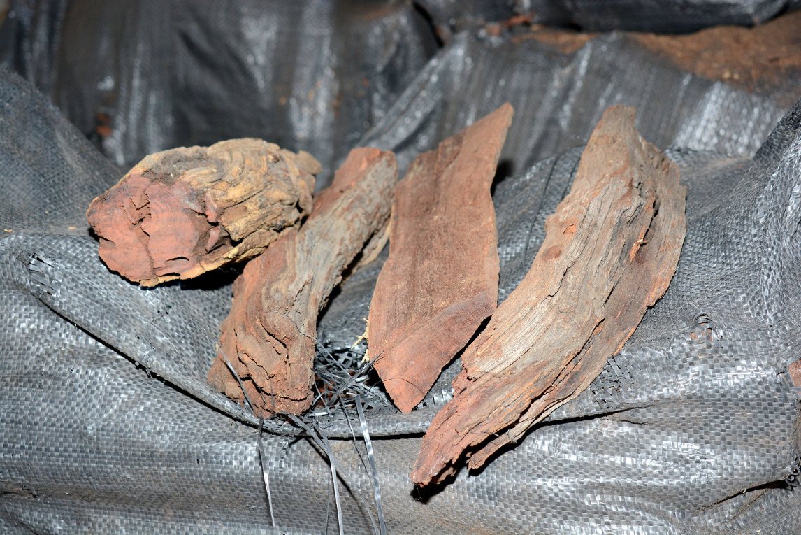 Olive Smoking Wood from Charley's Wood
