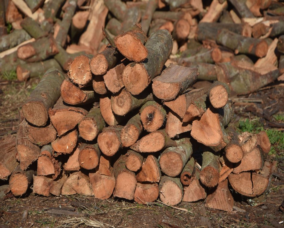 Plum Smoking Wood from Charley's Wood