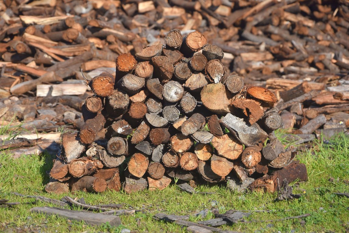 Port Jackson Braai Wood from Charley's Wood