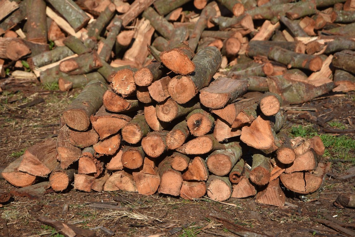 Rooikrans Braai Wood from Charley's Wood